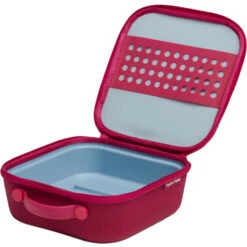 Hydro Flask Insulated Lunch Box - Kids -Oakley Skis Shop 1665961405721 insulated lunch box kids peony KLB 1